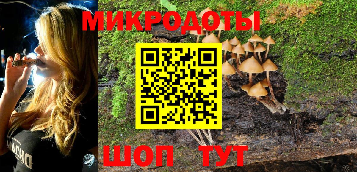 Галлюциногенные грибы Psilocybine cubensis Зеленогорск